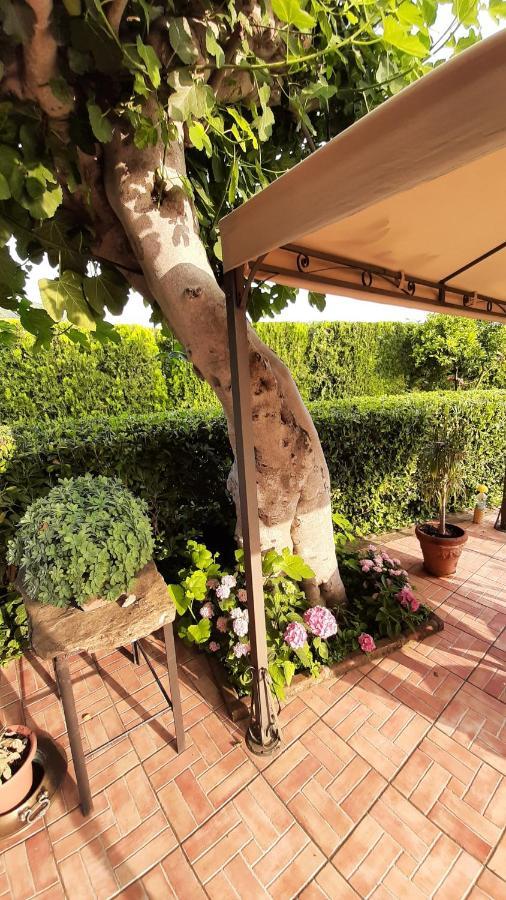 Casale Battaglini Bed & Breakfast Castelnuovo Cilento ภายนอก รูปภาพ