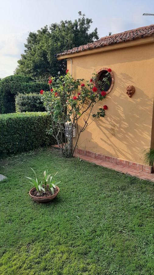 Casale Battaglini Bed & Breakfast Castelnuovo Cilento ภายนอก รูปภาพ